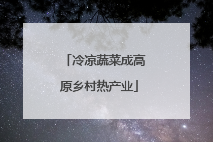 冷凉蔬菜成高原乡村热产业
