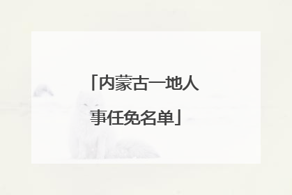 内蒙古一地人事任免名单