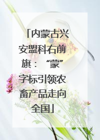 内蒙古兴安盟科右前旗：“蒙”字标引领农畜产品走向全国
