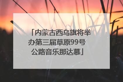 内蒙古西乌旗将举办第三届草原99号公路音乐那达慕