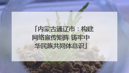 内蒙古通辽市：构建网络宣传矩阵 铸牢中华民族共同体意识