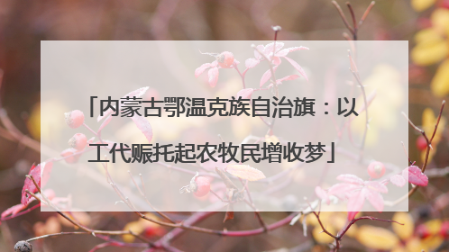 内蒙古鄂温克族自治旗：以工代赈托起农牧民增收梦