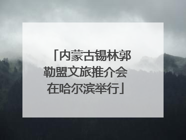内蒙古锡林郭勒盟文旅推介会在哈尔滨举行