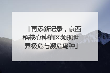 再添新记录，京西稻核心种植区频现世界极危与濒危鸟种