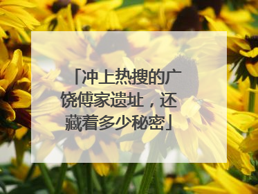 冲上热搜的广饶傅家遗址，还藏着多少秘密