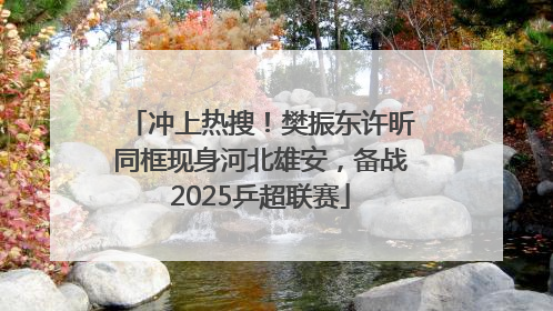 冲上热搜！樊振东许昕同框现身河北雄安，备战2025乒超联赛