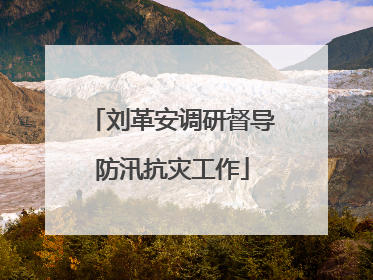 刘革安调研督导防汛抗灾工作