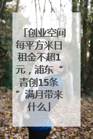 创业空间每平方米日租金不超1元，浦东“青创15条”满月带来什么