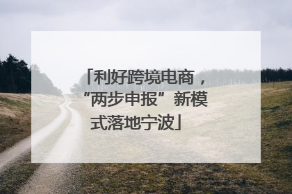 利好跨境电商，“两步申报”新模式落地宁波