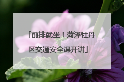 前排就坐！菏泽牡丹区交通安全课开讲