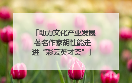 助力文化产业发展 著名作家胡性能走进“彩云英才荟”