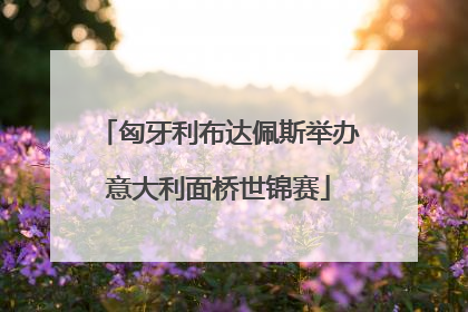 匈牙利布达佩斯举办意大利面桥世锦赛