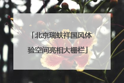 北京瑞蚨祥国风体验空间亮相大栅栏