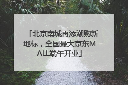 北京南城再添潮购新地标，全国最大京东MALL端午开业