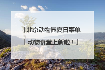 北京动物园夏日菜单丨动物食堂上新啦！