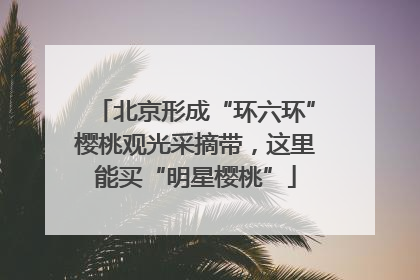 北京形成“环六环”樱桃观光采摘带，这里能买“明星樱桃”