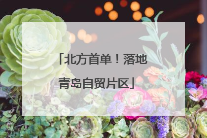 北方首单！落地青岛自贸片区