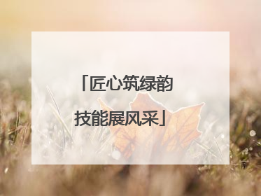 匠心筑绿韵 技能展风采