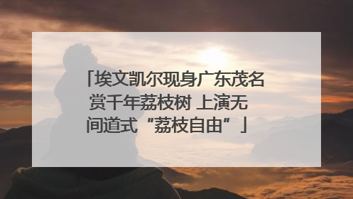 埃文凯尔现身广东茂名 赏千年荔枝树 上演无间道式“荔枝自由”