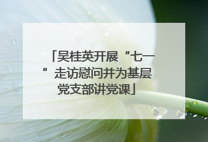 吴桂英开展“七一”走访慰问并为基层党支部讲党课