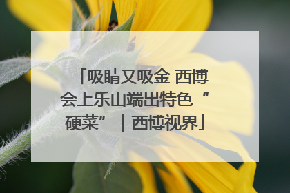 吸睛又吸金 西博会上乐山端出特色“硬菜”｜西博视界