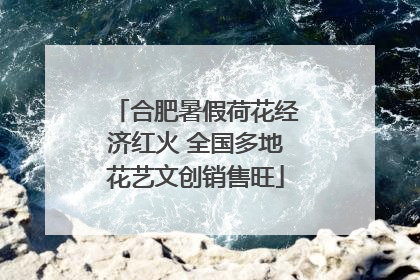 合肥暑假荷花经济红火 全国多地花艺文创销售旺
