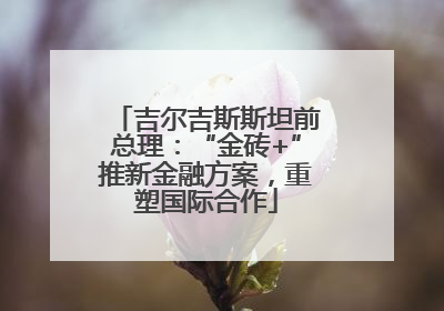 吉尔吉斯斯坦前总理：“金砖+”推新金融方案，重塑国际合作