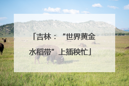 吉林：“世界黄金水稻带”上插秧忙