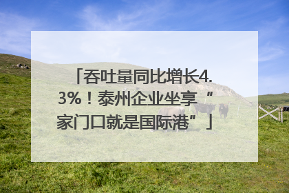 吞吐量同比增长4.3%！泰州企业坐享“家门口就是国际港”