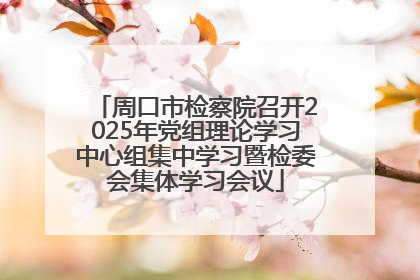 周口市检察院召开2025年党组理论学习中心组集中学习暨检委会集体学习会议