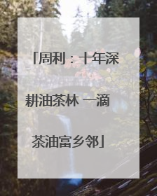 周利：十年深耕油茶林 一滴茶油富乡邻