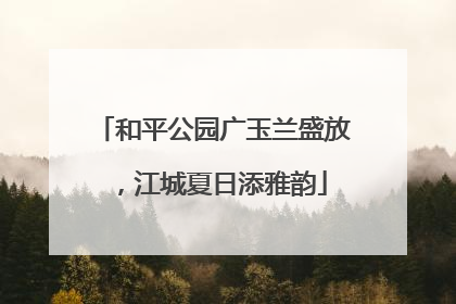 和平公园广玉兰盛放，江城夏日添雅韵