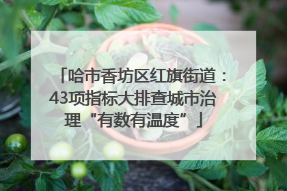 哈市香坊区红旗街道：43项指标大排查城市治理“有数有温度”
