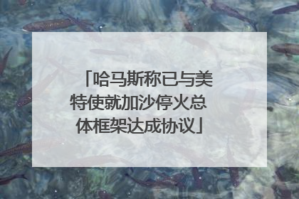 哈马斯称已与美特使就加沙停火总体框架达成协议