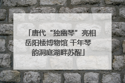 唐代“独幽琴”亮相岳阳楼博物馆 千年琴韵洞庭湖畔苏醒