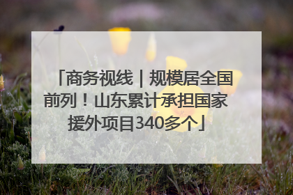 商务视线｜规模居全国前列！山东累计承担国家援外项目340多个