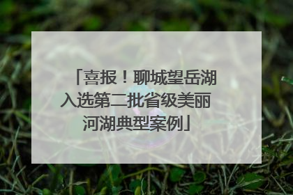喜报！聊城望岳湖入选第二批省级美丽河湖典型案例