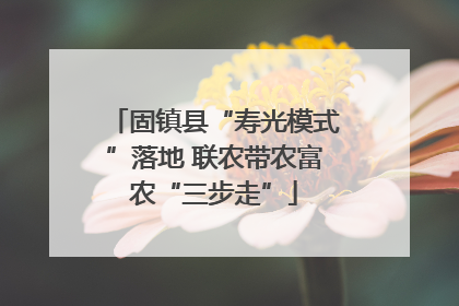 固镇县“寿光模式”落地 联农带农富农“三步走”