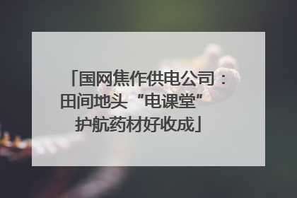 国网焦作供电公司：田间地头“电课堂” 护航药材好收成