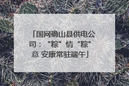 国网确山县供电公司：“粽”情“粽”意 安康常驻端午