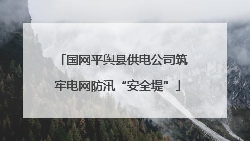 国网平舆县供电公司筑牢电网防汛“安全堤”
