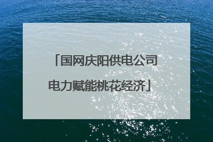 国网庆阳供电公司电力赋能桃花经济