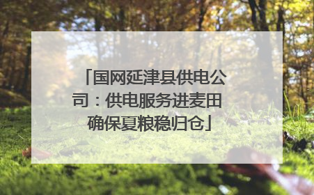 国网延津县供电公司：供电服务进麦田 确保夏粮稳归仓