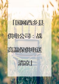 国网西乡县供电公司：战高温保供电送清凉