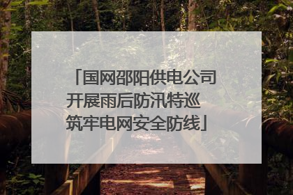 国网邵阳供电公司开展雨后防汛特巡 筑牢电网安全防线