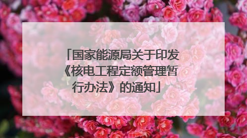国家能源局关于印发《核电工程定额管理暂行办法》的通知