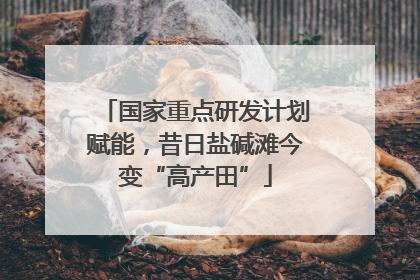 国家重点研发计划赋能，昔日盐碱滩今变“高产田”