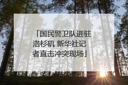 国民警卫队进驻洛杉矶 新华社记者直击冲突现场