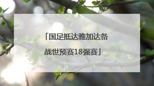 国足抵达雅加达备战世预赛18强赛