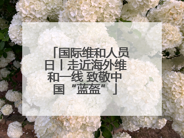 国际维和人员日丨走近海外维和一线 致敬中国“蓝盔”